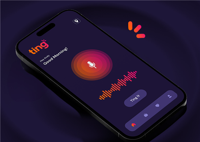 Ting Merchant App Illustration
